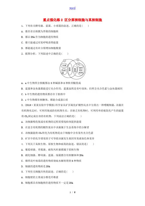 高考生物一轮复习 第一单元 重点强化练2 区分原核细胞与真核细胞(含解析)-人教版高三全册生物试题
