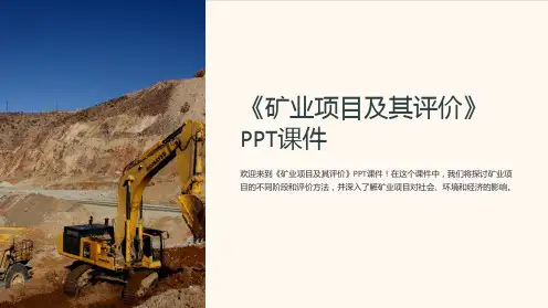 《矿业项目及其评价》课件