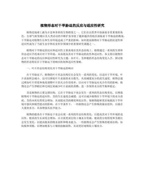 植物形态对干旱胁迫的反应与适应性研究