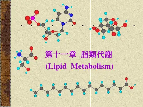 生物化学课件- 脂肪代谢