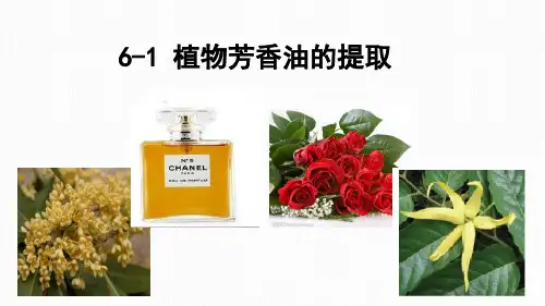 6-1 植物芳香油提取