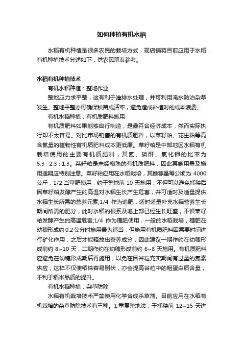 如何种植有机水稻