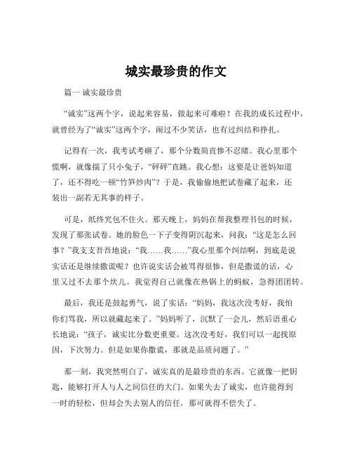 城实最珍贵的作文