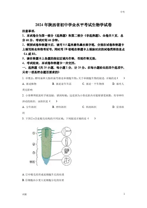 2024年陕西省中考生物真题卷含答案解析