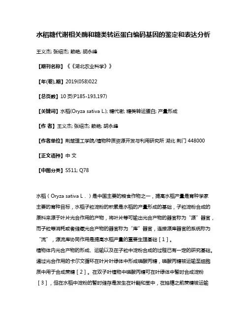 水稻糖代谢相关酶和糖类转运蛋白编码基因的鉴定和表达分析