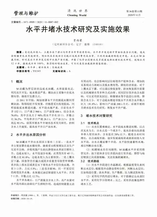 水平井堵水技术研究及实施效果