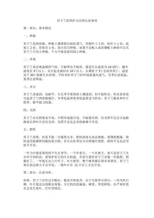 君子兰的养殖方法和注意事项