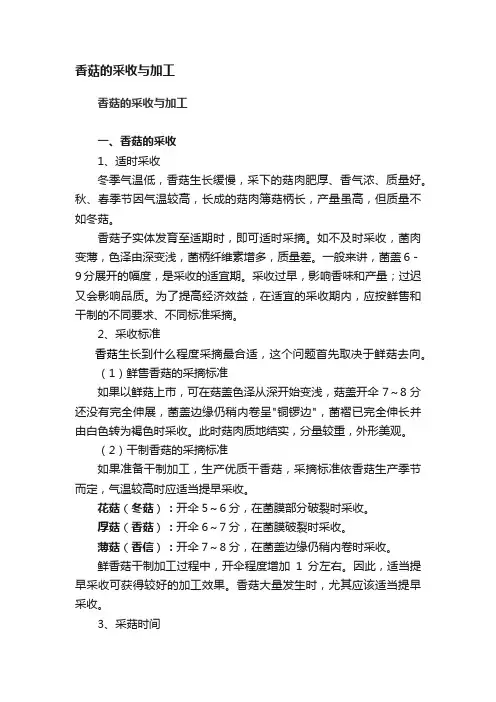 香菇的采收与加工