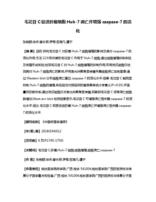 毛花苷C促进肝癌细胞Huh-7凋亡并增强caspase-7的活化