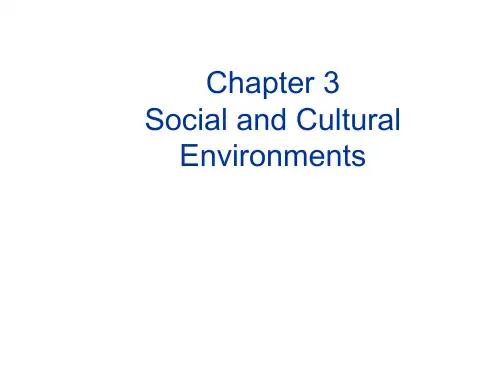 全球营销学课件CHAP3 social and cultural environments
