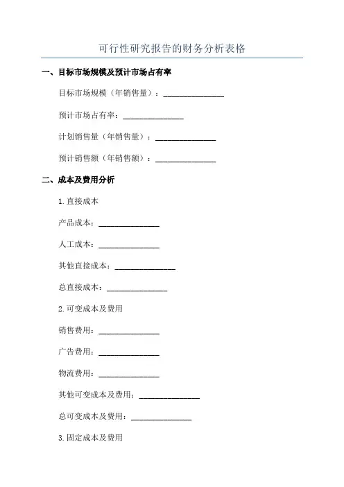 可行性研究报告的财务分析表格