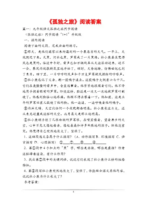 《孤独之旅》阅读答案