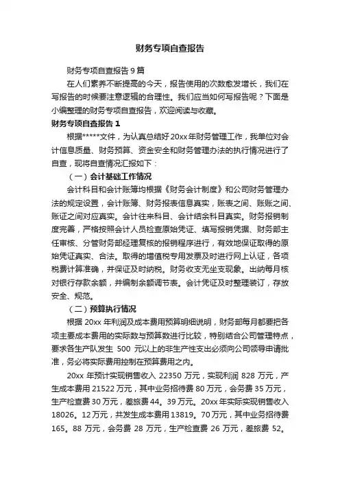 财务专项自查报告9篇