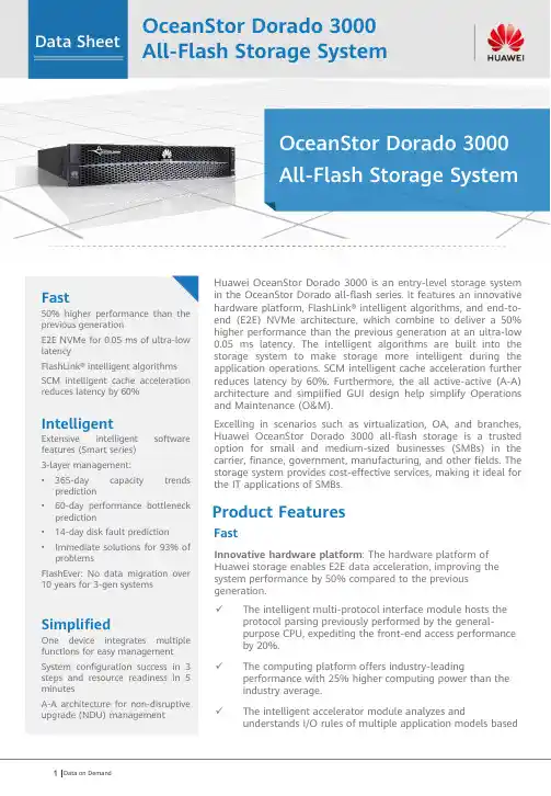 华为 OceanStor Dorado 3000 全闪存系统说明书