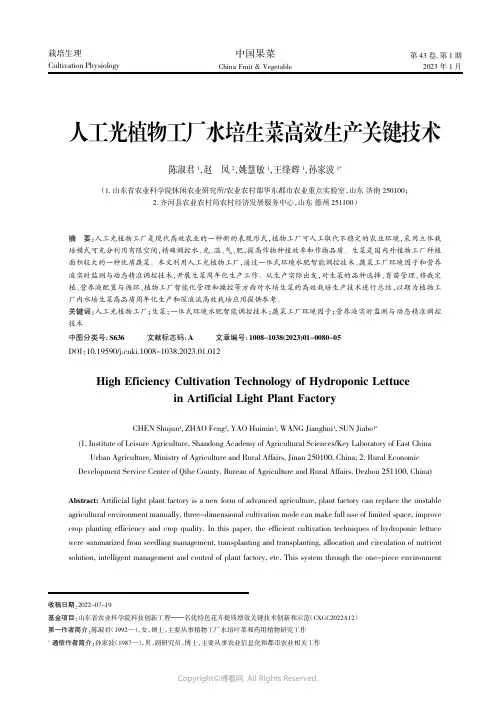 人工光植物工厂水培生菜高效生产关