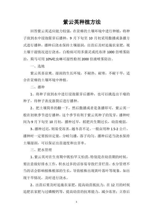 紫云英种植方法