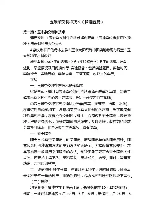 玉米杂交制种技术（精选五篇）