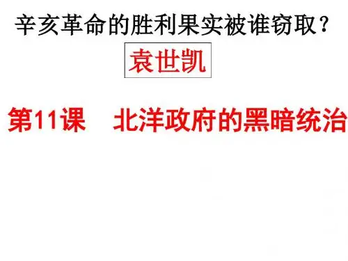 第11课  北洋军阀的黑暗统治