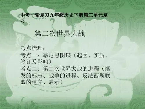 中考一轮复习九年级历史下册第三单元复习