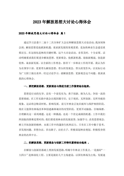 2023年解放思想大讨论心得体会