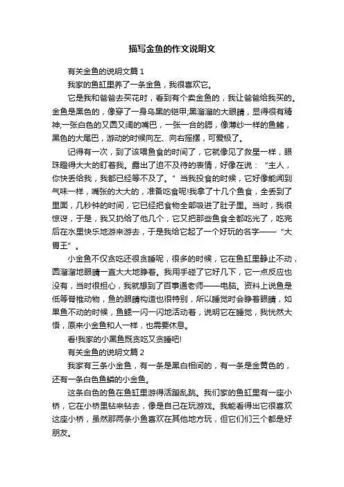 描写金鱼的作文说明文