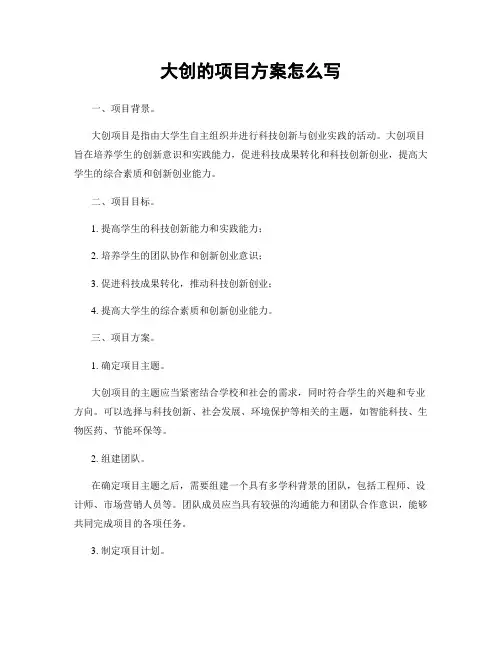 大创的项目方案怎么写