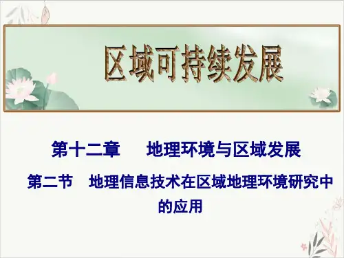 高考地理总复习_地理信息技术在区域地理环境研究中的应用(20页)