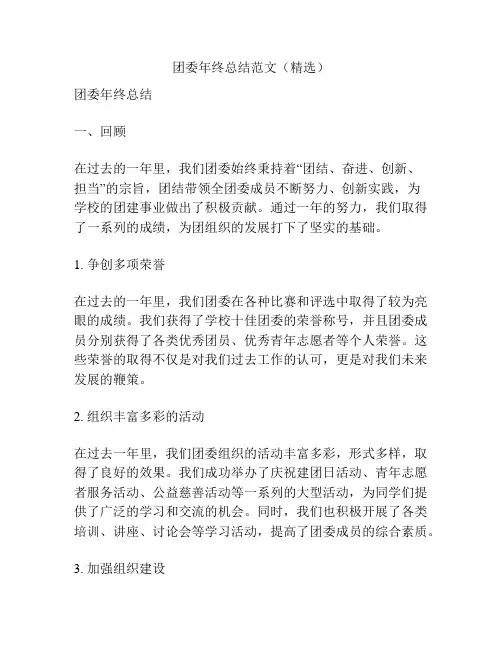 团委年终总结范文(精选)