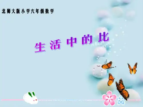 《比的认识》PPT课件