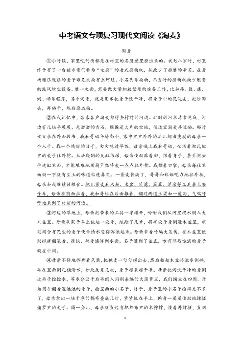中考语文专项复习现代文阅读《淘麦》含答案