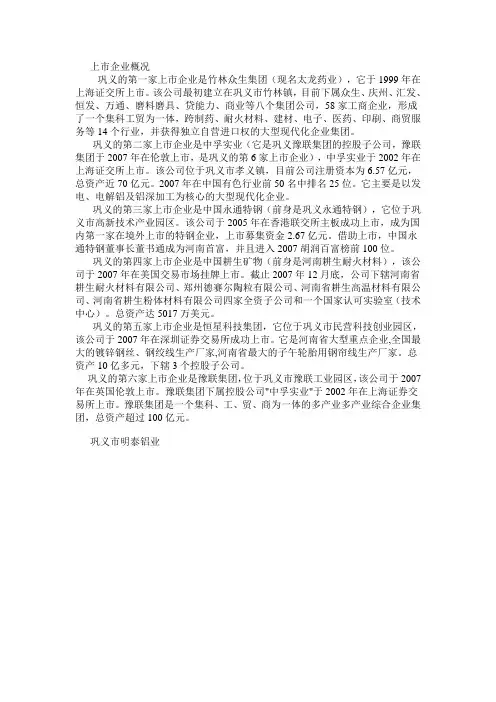 巩义市上市公司
