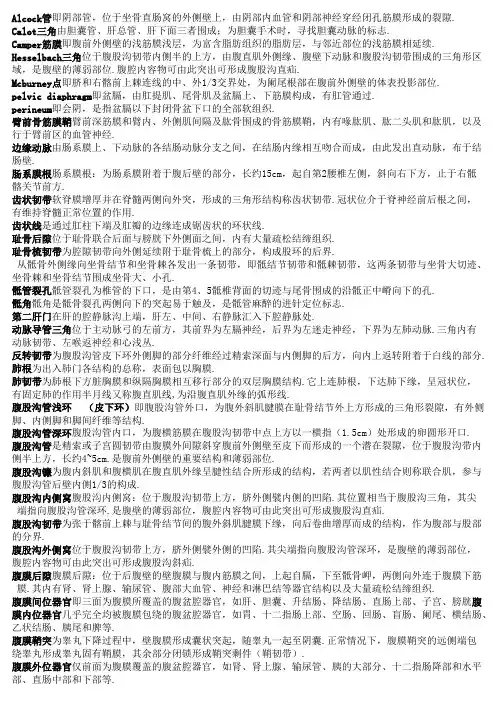 局部解剖学名词解释