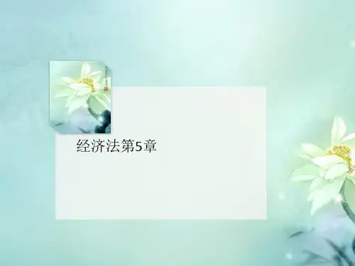 经济法讲义第5章