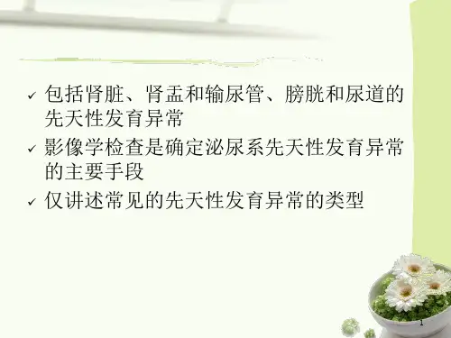 泌尿系先天发育异常影像诊断课件