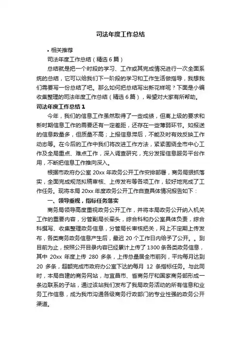 司法年度工作总结