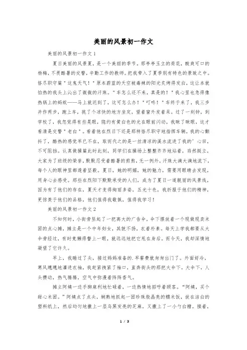 美丽的风景初一作文