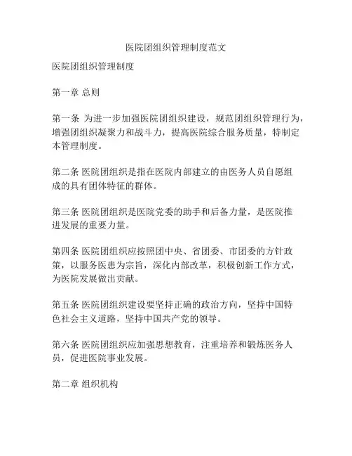 医院团组织管理制度范文