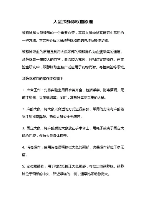 大鼠颈静脉取血原理
