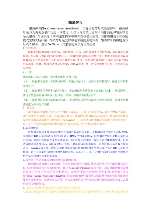 酿酒酵母