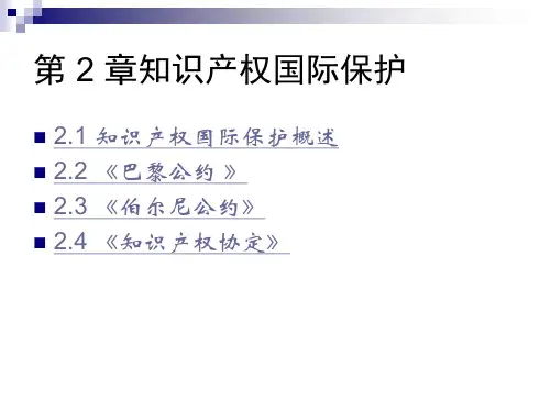 第2章  知识产权国际保护  《知识产权法》PPT课件
