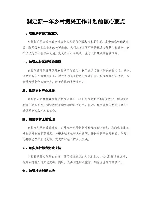 制定新一年乡村振兴工作计划的核心要点