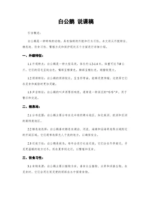 白公鹅 说课稿