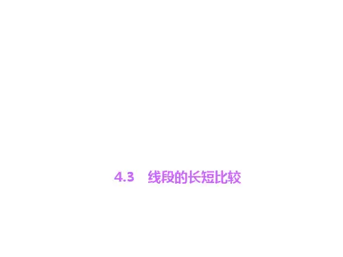 4.3 线段的长短比较