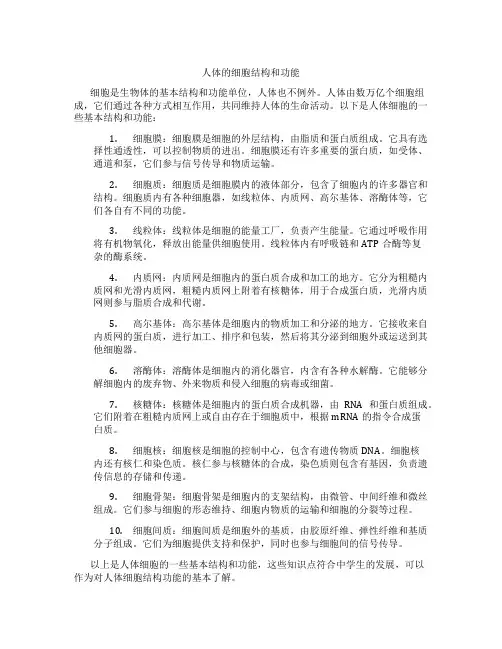 人体的细胞结构和功能
