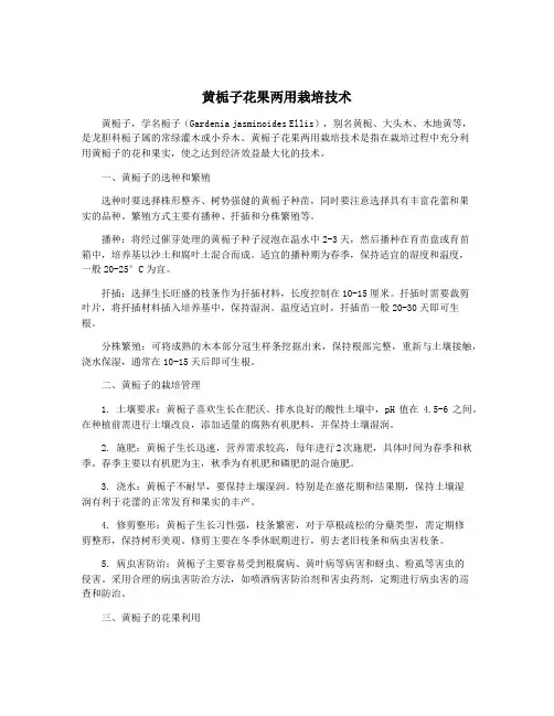 黄栀子花果两用栽培技术
