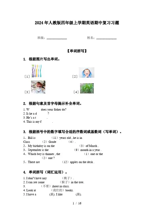 2024年人教版四年级上学期英语期中复习习题