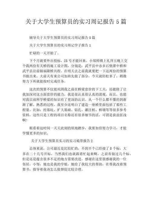 关于大学生预算员的实习周记报告5篇