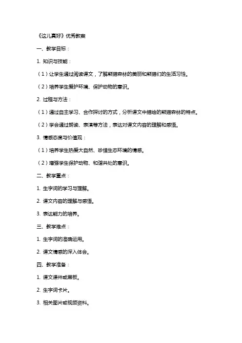 《这儿真好》教案