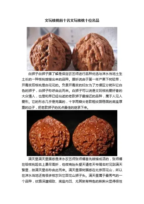 文玩核桃前十名文玩核桃十位名品