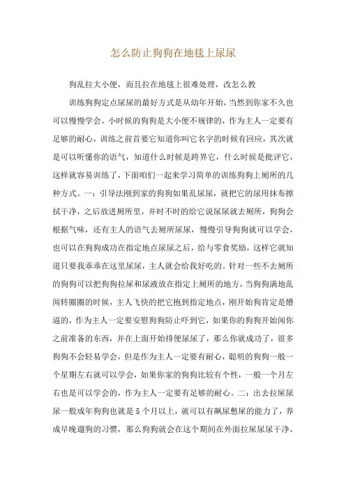 怎么防止狗狗在地毯上尿尿
